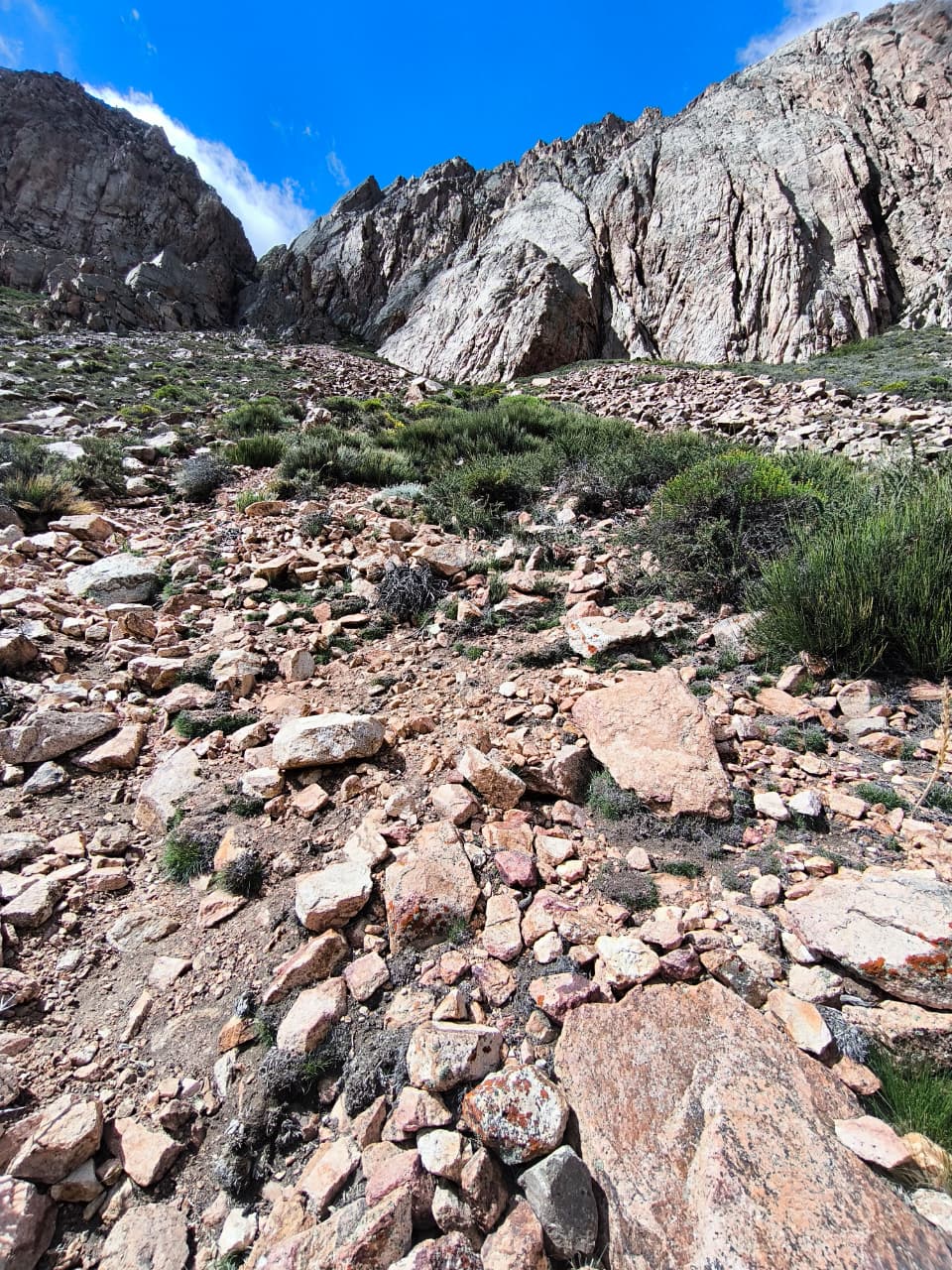 Escalada en Arenales