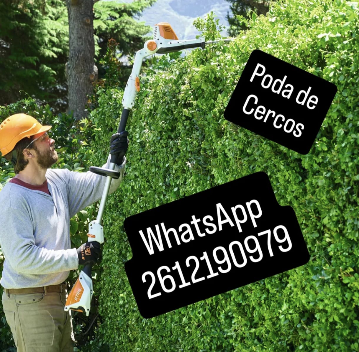 poda y tala de arboles en santa rosa mendoza